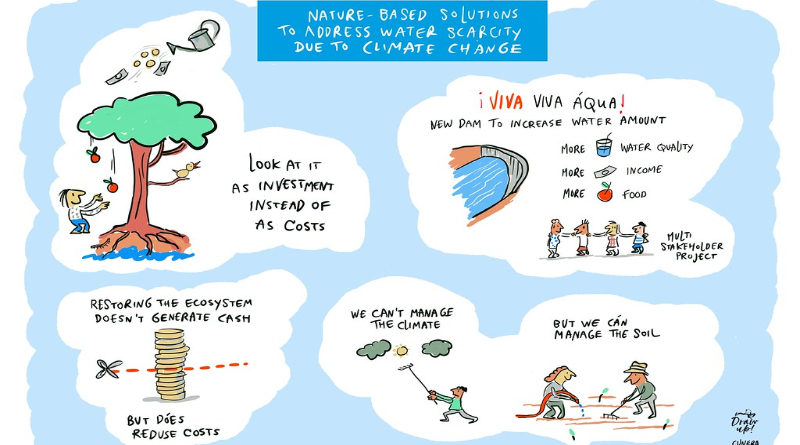 Tại sao đầu tư vào giải pháp dựa trên thiên nhiên luôn mang lại hiệu quả — và bài học cho chuyển đổi xanh tại Việt Nam