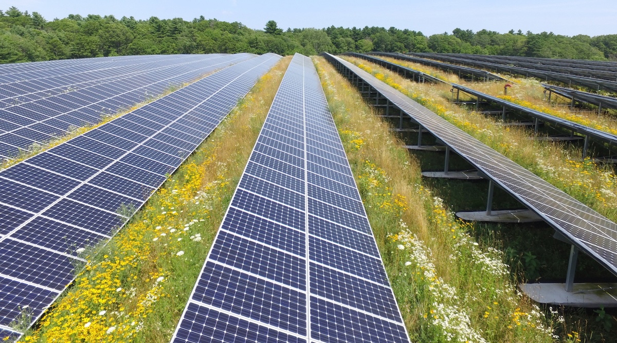 Phe MAGA bất ngờ ủng hộ điện mặt trời — nhưng liệu Bộ trưởng Nông nghiệp Brooke Rollins có nắm bắt xu thế?