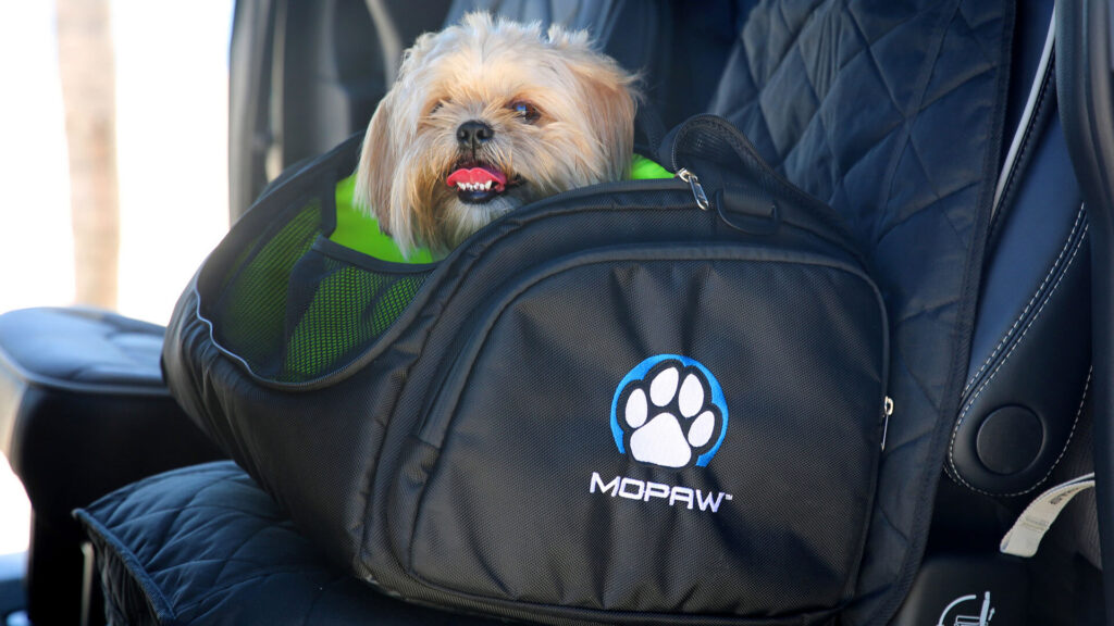 Stellantis ra mắt thương hiệu Mopaw — phụ kiện ô tô dành riêng cho thú cưng, khai thác thị trường 157 tỷ USD